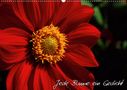 Michael Mantke: Jede Blume ein Gedicht (Wandkalender 2021 DIN A2 quer), KAL