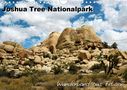 Michael Mantke: Joshua Tree Nationalpark - Wunderland aus Felsen (Wandkalender 2021 DIN A4 quer), KAL