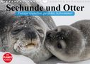 Elisabeth Stanzer: Seehunde und Otter. Putzige Gesellen, perfekte Schwimmer (Wandkalender 2021 DIN A4 quer), Kalender
