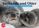 Elisabeth Stanzer: Seehunde und Otter. Putzige Gesellen, perfekte Schwimmer (Wandkalender 2021 DIN A2 quer), Kalender