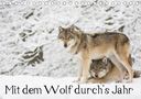 Wilfried Martin: Mit dem Wolf durch's Jahr (Tischkalender 2021 DIN A5 quer), KAL