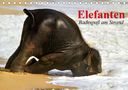 Elisabeth Stanzer: Elefanten. Badespaß am Strand (Tischkalender 2021 DIN A5 quer), Kalender