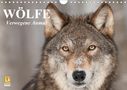 Elisabeth Stanzer: Wölfe. Verwegene Anmut (Wandkalender 2021 DIN A4 quer), Kalender