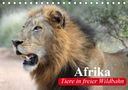 Elisabeth Stanzer: Afrika. Tiere in freier Wildbahn (Tischkalender 2021 DIN A5 quer), Kalender