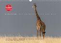 Ingo Gerlach: Emotionale Momente: Giraffen, die höchsten Tiere der Welt. (Wandkalender 2021 DIN A3 quer), KAL