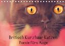 Janina Bürger Wabi-Sabi Tierfotografie: Britisch Kurzhaar Katzen - Poesie fürs Auge (Tischkalender 2021 DIN A5 quer), KAL