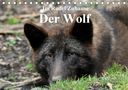 Arno Klatt: Im Rudel Zuhause - Der Wolf (Tischkalender 2021 DIN A5 quer), KAL