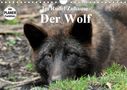 Arno Klatt: Im Rudel Zuhause - Der Wolf (Wandkalender 2021 DIN A4 quer), KAL