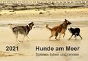Dirk Walter: Hunde am Meer - Spielen, toben und rennen (Tischkalender 2021 DIN A5 quer), KAL