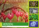 Susan Michel /Ch: Herz(en) - in der Natur (Tischkalender 2021 DIN A5 quer), Div.