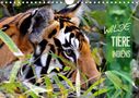 Manfred Bergermann: Wilde Tiere Indiens (Wandkalender 2021 DIN A4 quer), KAL