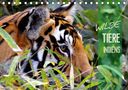 Manfred Bergermann: Wilde Tiere Indiens (Tischkalender 2021 DIN A5 quer), KAL