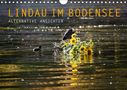 Markus Wuchenauer Pixelrohkost. De: Lindau im Bodensee - Alternative Ansichten (Wandkalender 2021 DIN A4 quer), KAL