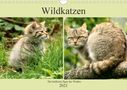 Arno Klatt: Wildkatzen - Die lautlosen Jäger des Waldes (Wandkalender 2021 DIN A4 quer), KAL