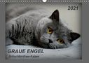 K. A. Jacky-Fotos: GRAUE ENGEL Britischkurzhaar-Katzen (Wandkalender 2021 DIN A3 quer), KAL