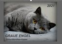 K. A. Jacky-Fotos: GRAUE ENGEL Britischkurzhaar-Katzen (Wandkalender 2021 DIN A2 quer), KAL