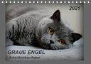 K. A. Jacky-Fotos: GRAUE ENGEL Britischkurzhaar-Katzen (Tischkalender 2021 DIN A5 quer), KAL