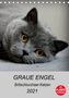 Jacqueline Brumma Jacky-fotos: Graue Engel - Britischkurzhaar-Katzen (Tischkalender 2021 DIN A5 hoch), KAL