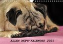 Sonja Hofmann: Alles Mops-Kalender 2021 (Wandkalender 2021 DIN A4 quer), Div.