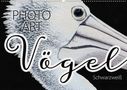 Susanne Sachers: Vögel Schwarzweiß Photo Art (Wandkalender 2021 DIN A2 quer), KAL