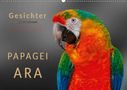 Peter Roder: Gesichter - Papagei Ara (Wandkalender 2021 DIN A2 quer), KAL