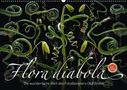 Olaf Bruhn: Flora diabola - Die wundersame Welt des Fotodesigners Olaf Bruhn (Wandkalender 2021 DIN A2 quer), KAL