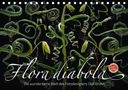 Olaf Bruhn: Flora diabola - Die wundersame Welt des Fotodesigners Olaf Bruhn (Tischkalender 2021 DIN A5 quer), KAL