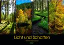 Lost Plastron Pictures: Licht und Schatten - Herbst im Südschwarzwald (Wandkalender 2021 DIN A3 quer), KAL