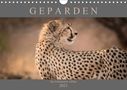 Markus Pavlowsky: Geparden - Die Schönheiten Afrikas (Wandkalender 2021 DIN A4 quer), KAL