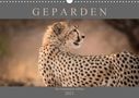 Markus Pavlowsky: Geparden - Die Schönheiten Afrikas (Wandkalender 2021 DIN A3 quer), KAL