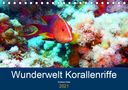 Andrea Hess: Wunderwelt Korallenriffe (Tischkalender 2021 DIN A5 quer), Div.