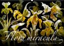Olaf Bruhn: Flora miracula - Die wundersame Welt des Fotografen Olaf Bruhn (Wandkalender 2021 DIN A2 quer), KAL