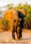 Bruno Pohl: Brunos Bilder: Süd-Luangwa (Tischkalender 2021 DIN A5 hoch), Kalender