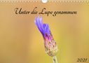 Kevin Andreas Lederle: Unter die Lupe genommen (Wandkalender 2021 DIN A4 quer), Kalender