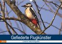 Kevin Andreas Lederle: Majestätische Vogelwelt (Wandkalender 2021 DIN A3 quer), KAL