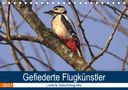 Kevin Andreas Lederle: Majestätische Vogelwelt (Tischkalender 2021 DIN A5 quer), KAL