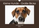 K. A. Akrema-Photography: Kleine Hunde - Große Blicke (Wandkalender 2021 DIN A4 quer), Div.