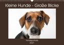 K. A. Akrema-Photography: Kleine Hunde - Große Blicke (Wandkalender 2021 DIN A3 quer), Div.