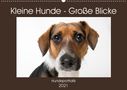 K. A. Akrema-Photography: Kleine Hunde - Große Blicke (Wandkalender 2021 DIN A2 quer), Div.