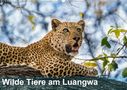 Bruno Pohl: Wilde Tiere am Luangwa (Wandkalender 2021 DIN A2 quer), KAL