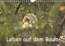 Kevin Andreas Lederle: Leben auf dem Baum (Wandkalender 2021 DIN A4 quer), KAL