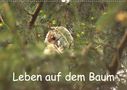 Kevin Andreas Lederle: Leben auf dem Baum (Wandkalender 2021 DIN A2 quer), KAL