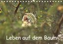 Kevin Andreas Lederle: Leben auf dem Baum (Tischkalender 2021 DIN A5 quer), KAL