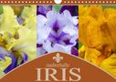 Steffen Gierok: Zauberhafte Iris (Wandkalender 2021 DIN A4 quer), KAL