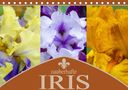 Steffen Gierok: Zauberhafte Iris (Tischkalender 2021 DIN A5 quer), KAL