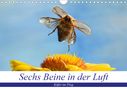 André Skonieczny: Sechs Beine in der Luft - Käfer im Flug (Wandkalender 2021 DIN A4 quer), KAL