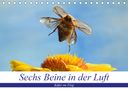 André Skonieczny: Sechs Beine in der Luft - Käfer im Flug (Tischkalender 2021 DIN A5 quer), KAL