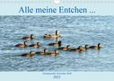 Henning von Löwis of Menar: Alle meine Entchen ... Entenparadies Kurisches Haff (Wandkalender 2021 DIN A4 quer), Div.
