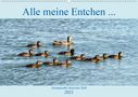 Henning von Löwis of Menar: Alle meine Entchen ... Entenparadies Kurisches Haff (Wandkalender 2021 DIN A2 quer), Div.