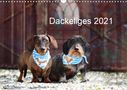 Anja Foto Grafia Fotografie: Dackeliges 2021 (Wandkalender 2021 DIN A3 quer), Div.